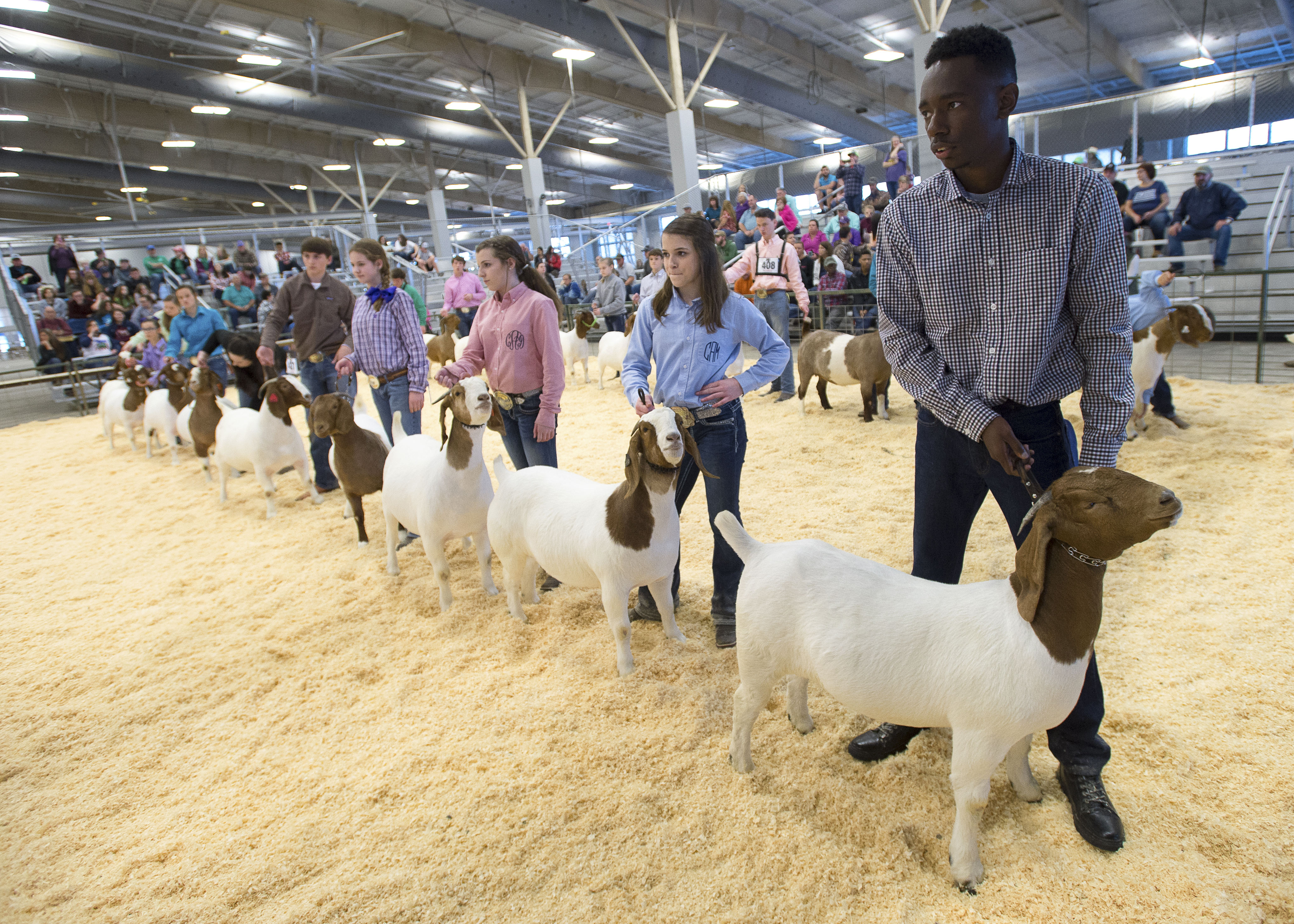 Louisiana youths named champions at 83rd annual LSU AgCenter Livestock Show 